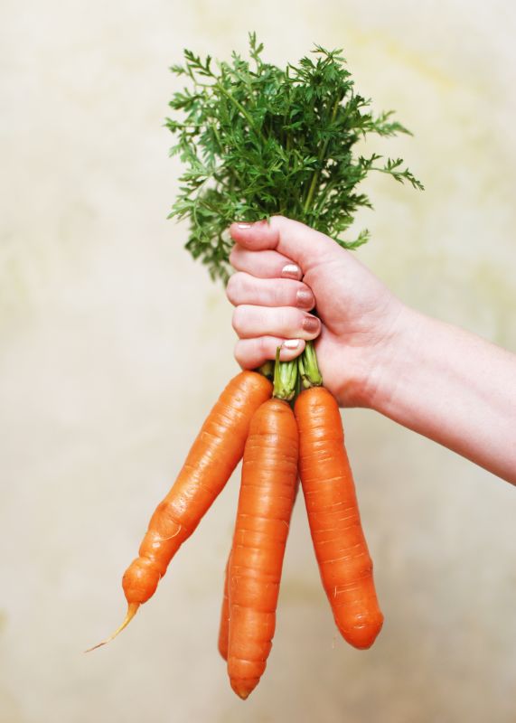 carrotsoufle_13